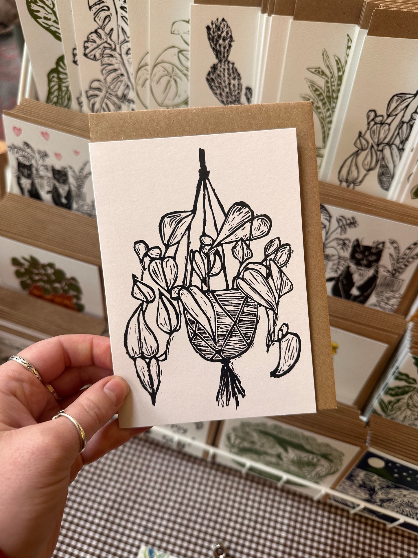 Philodendron Scandens House Plant Card