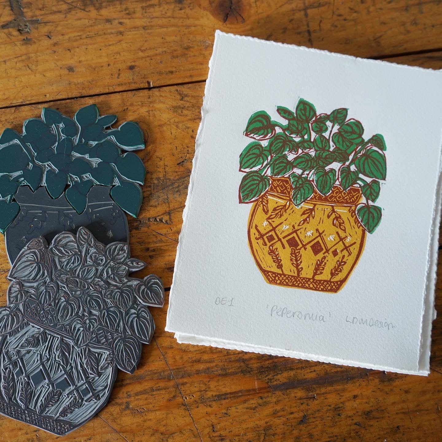 Original Linocut print ‘peperomia’ House plant