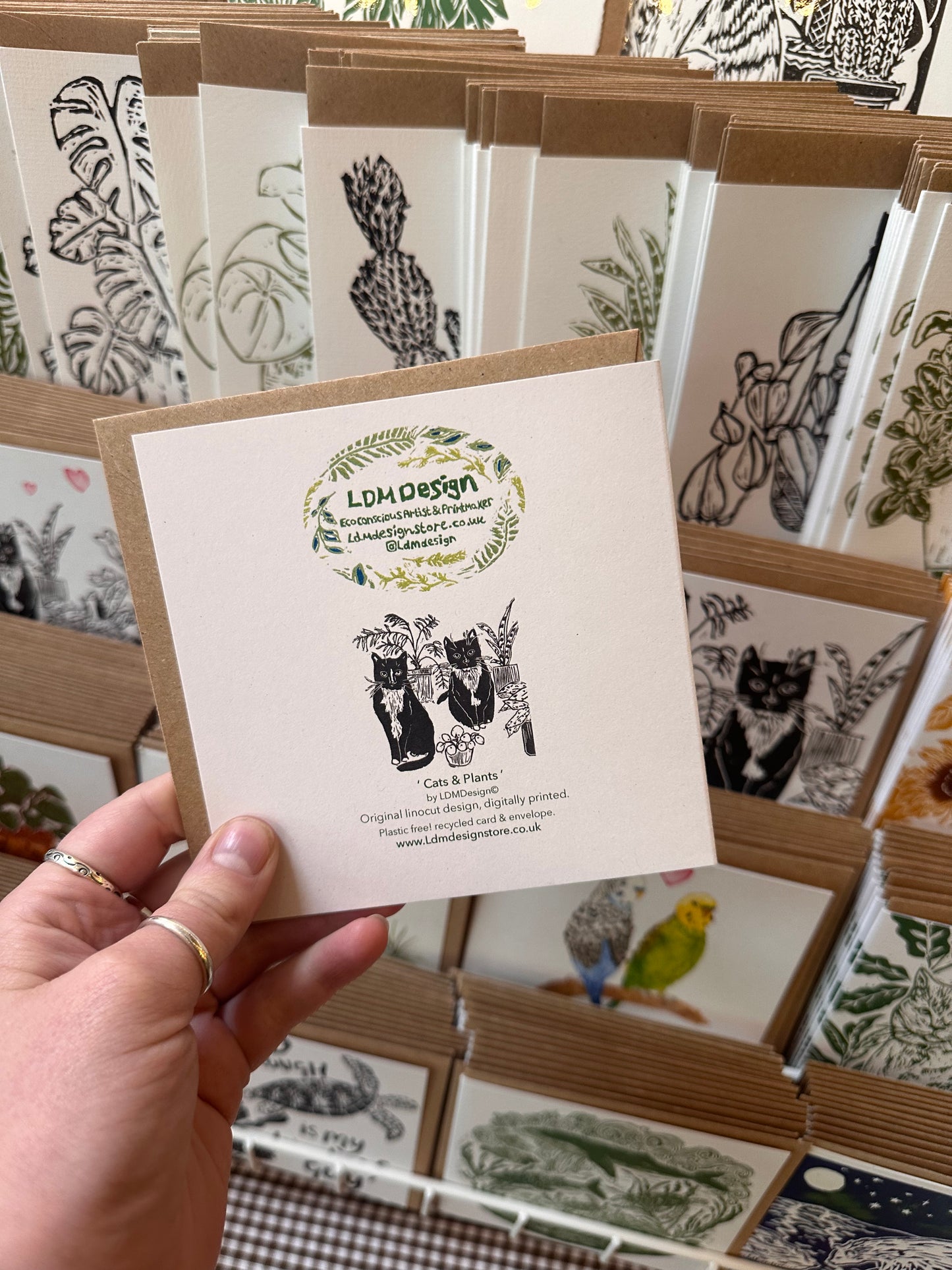 Cats & Plants Card