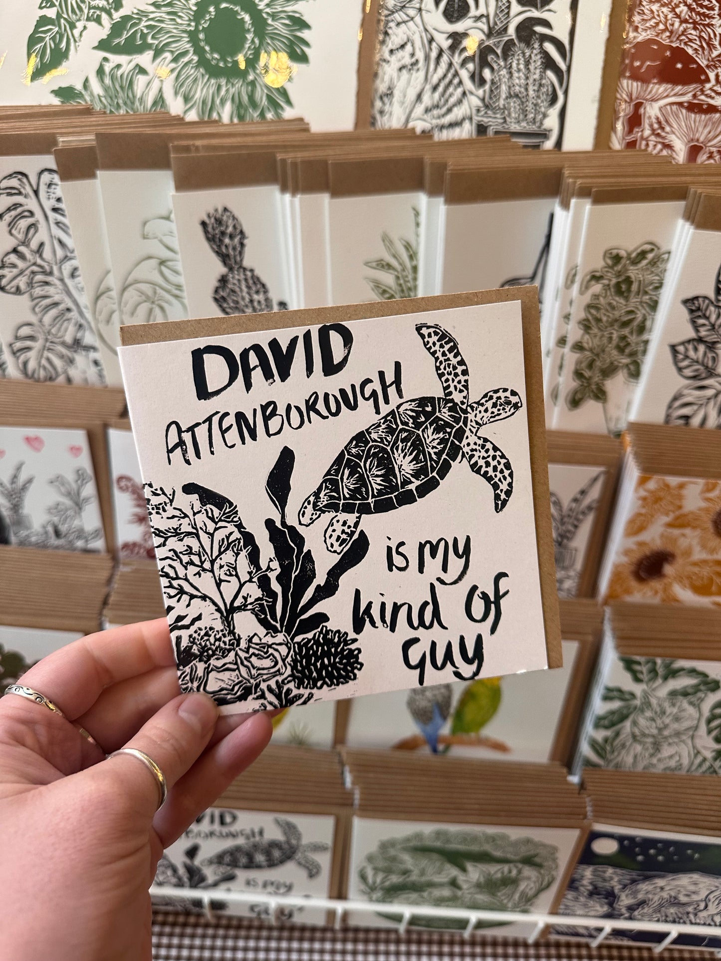 David Attenborough, Green Turtle Card