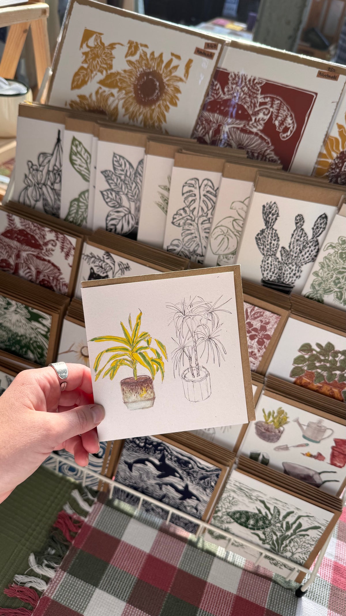House Plant sketch Card