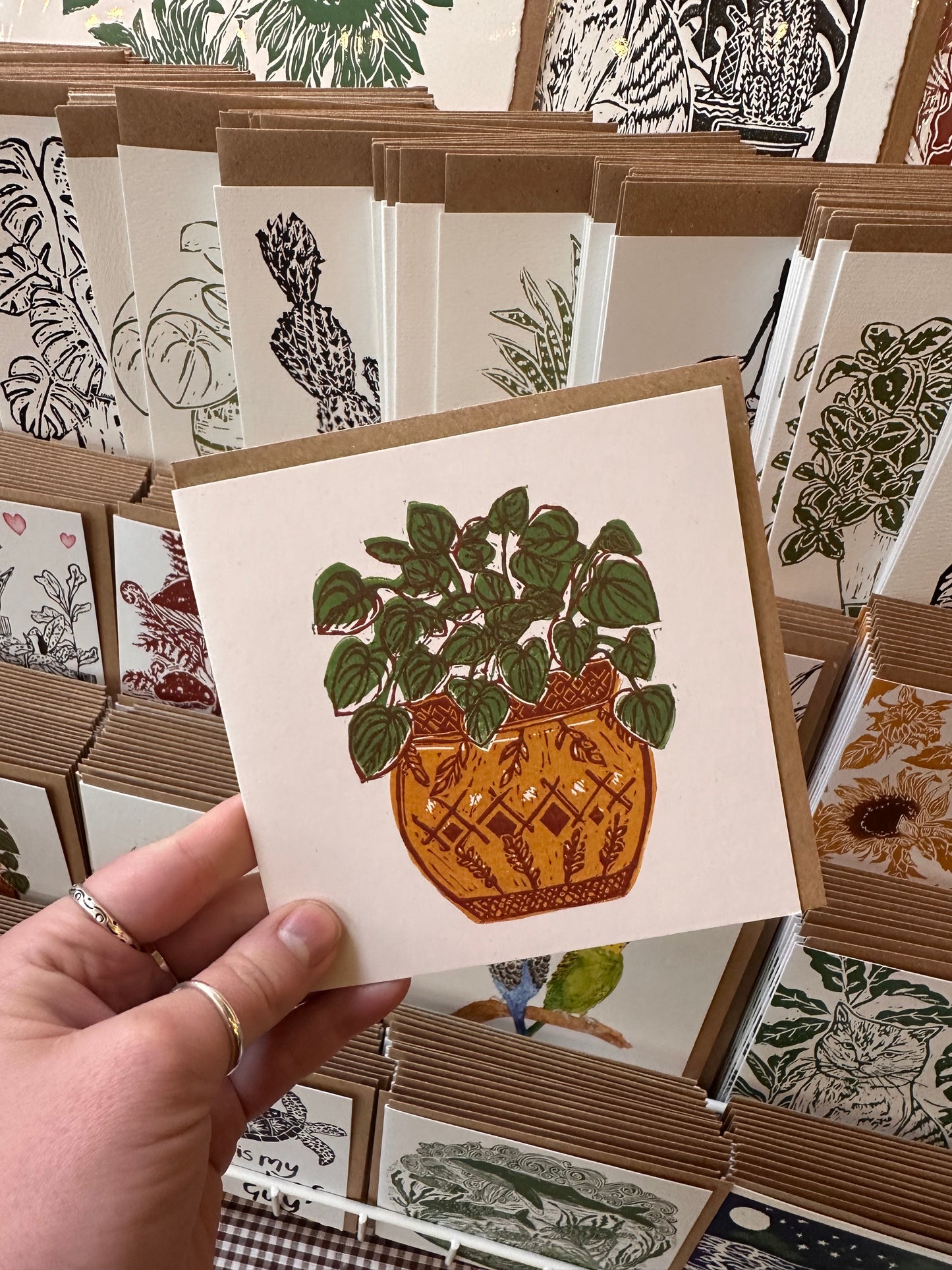 Peperomia Card