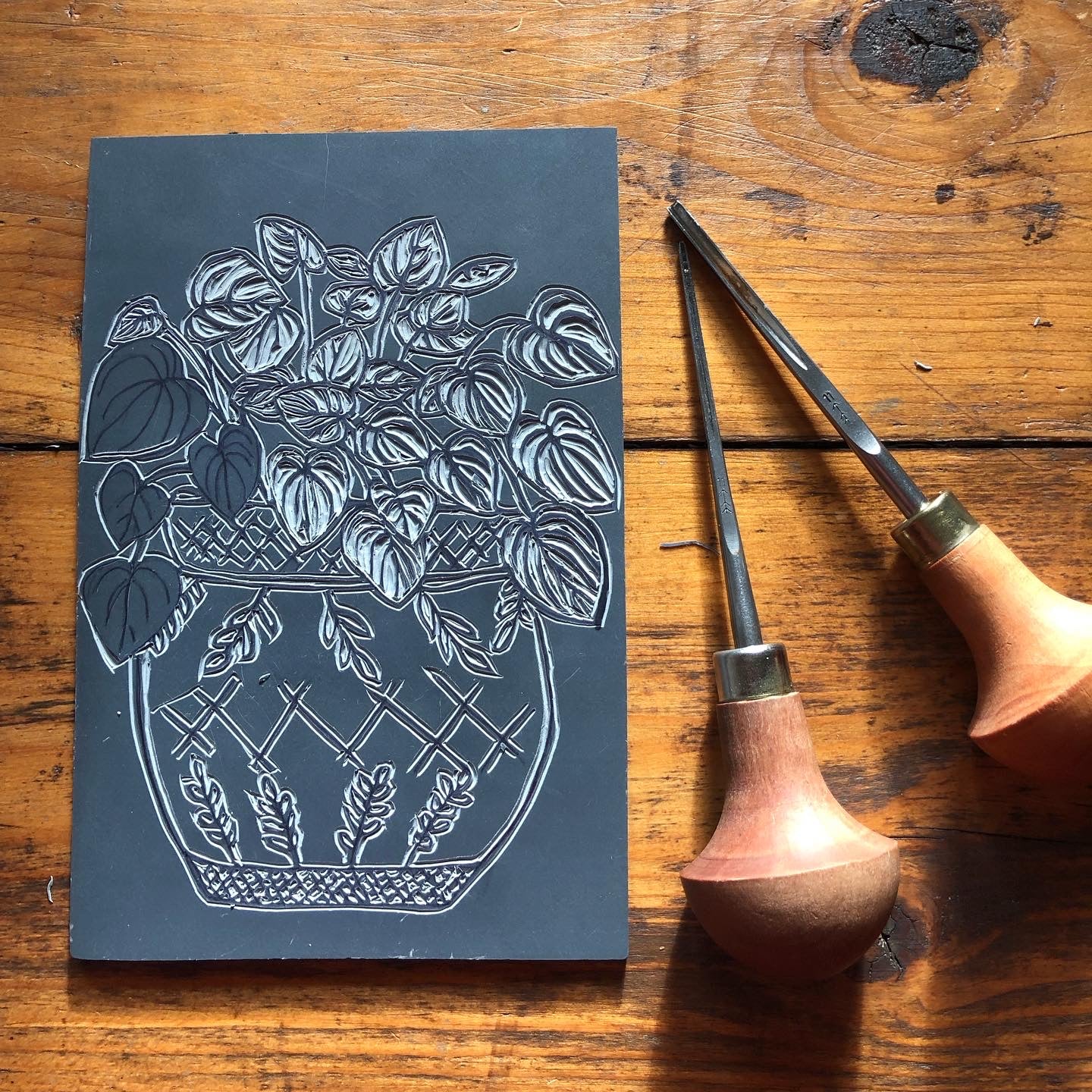 Original Linocut print ‘peperomia’ House plant