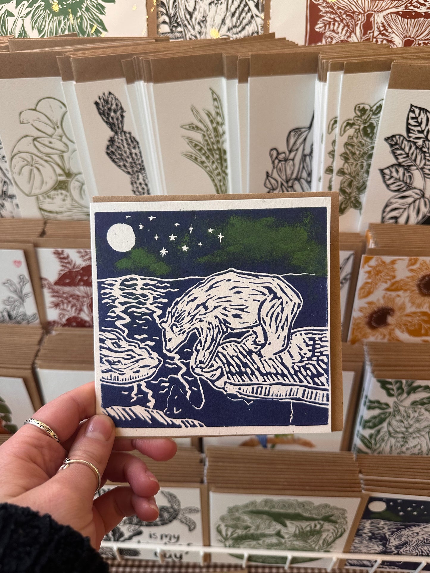 Polar Bear Reflecting Card