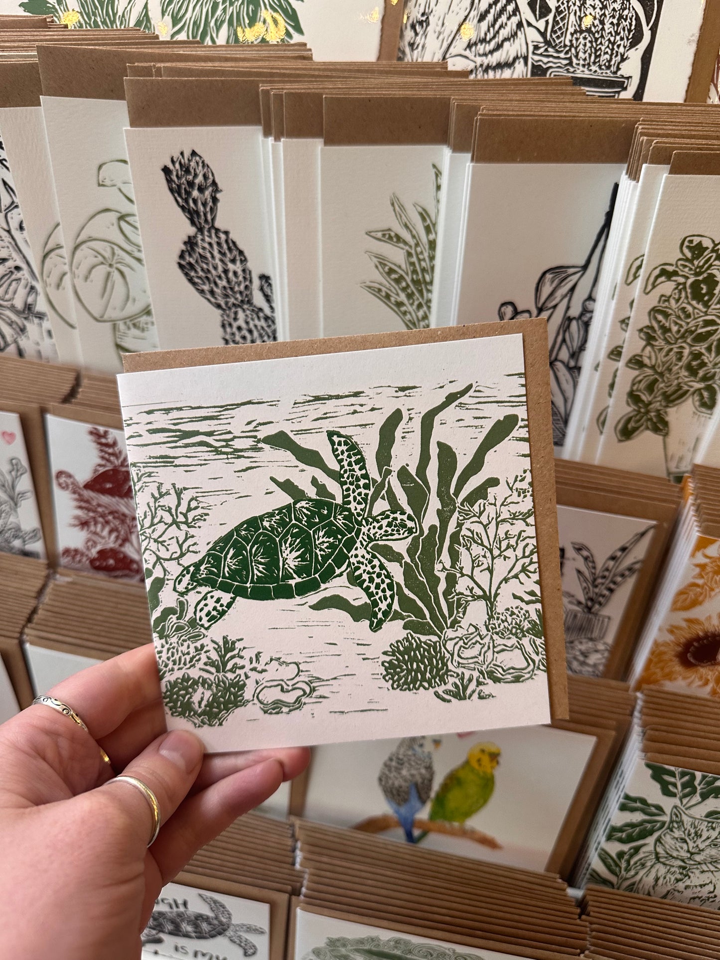 Green Turtle & Coral Card