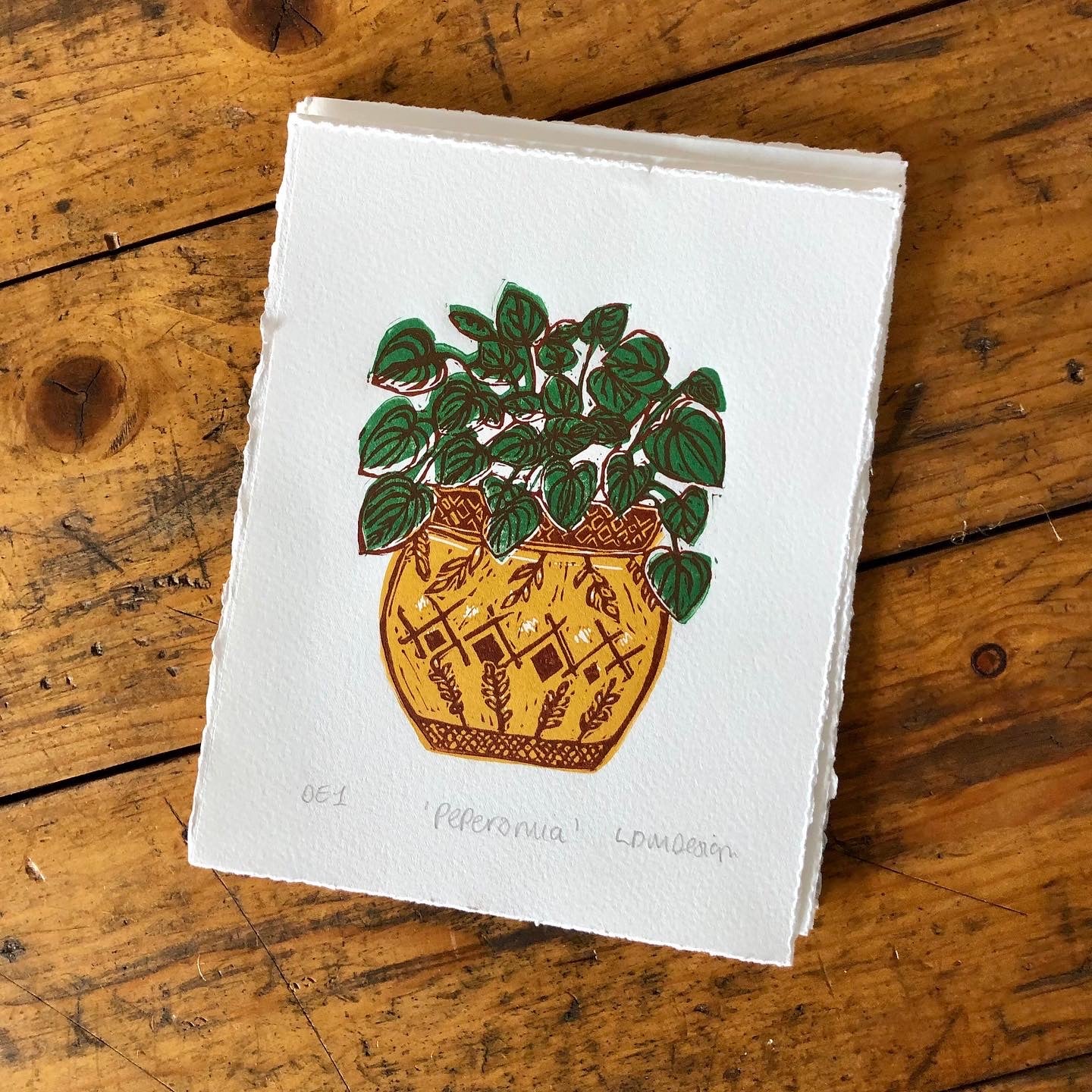 Original Linocut print ‘peperomia’ House plant