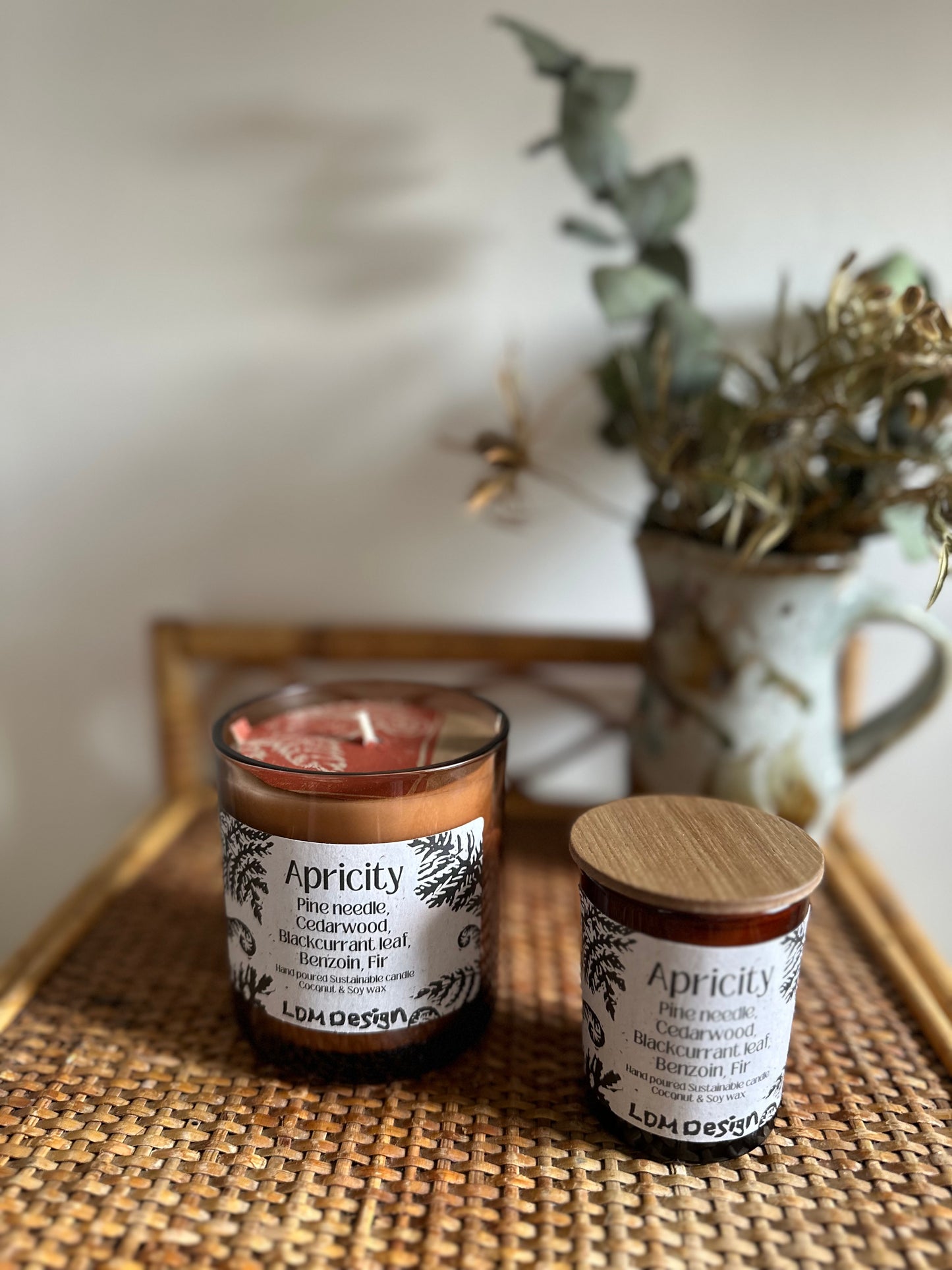Apricity Sustainable Candle