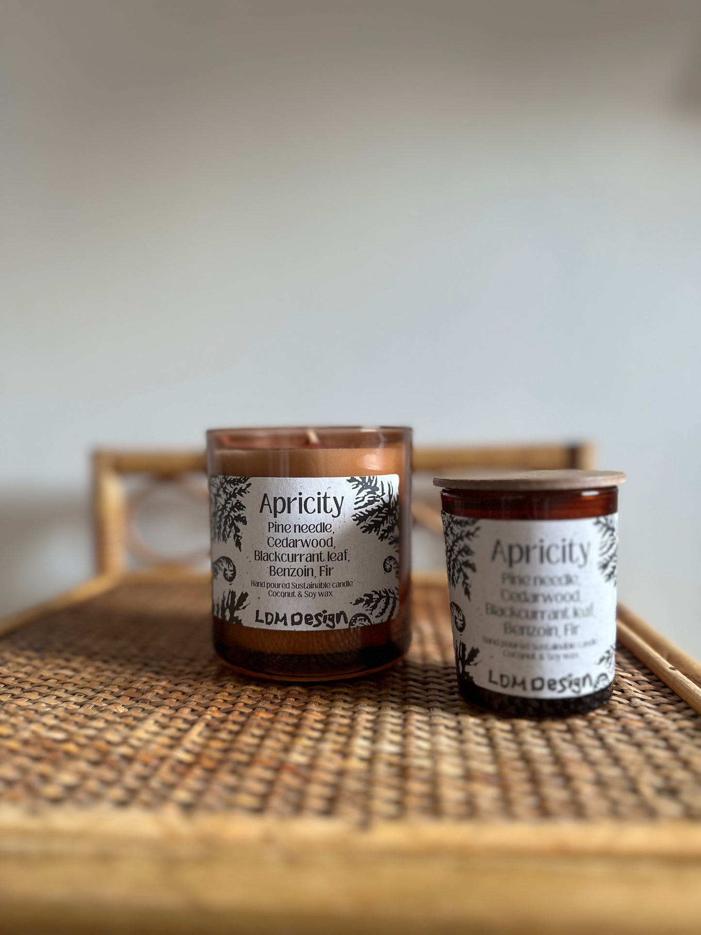 Apricity Sustainable Candle