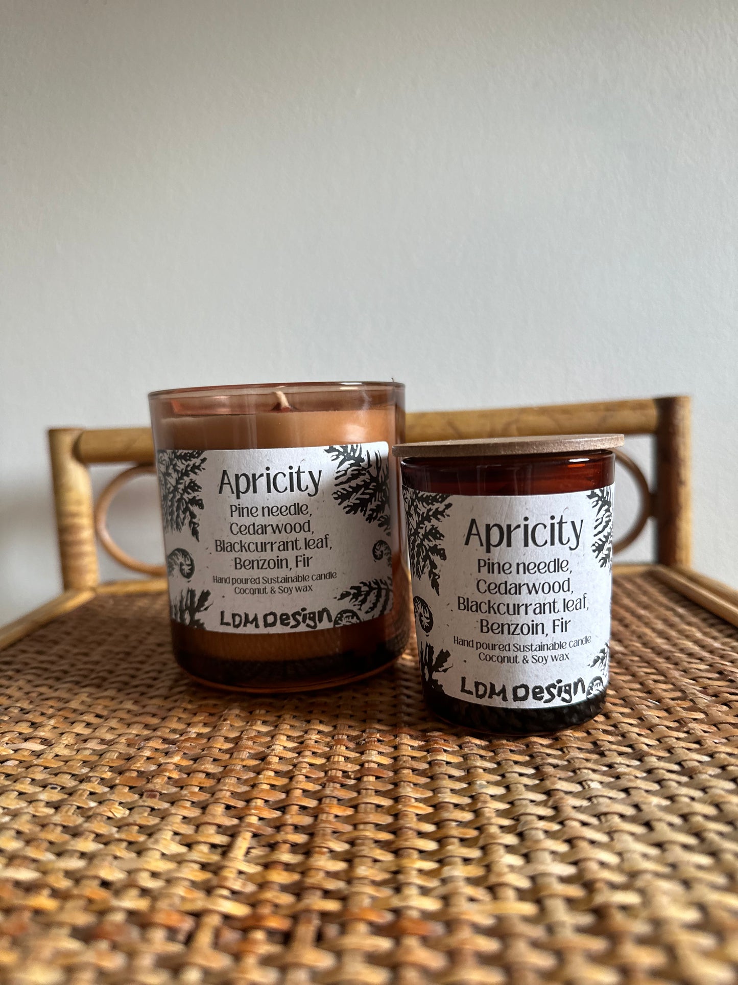 Apricity Sustainable Candle