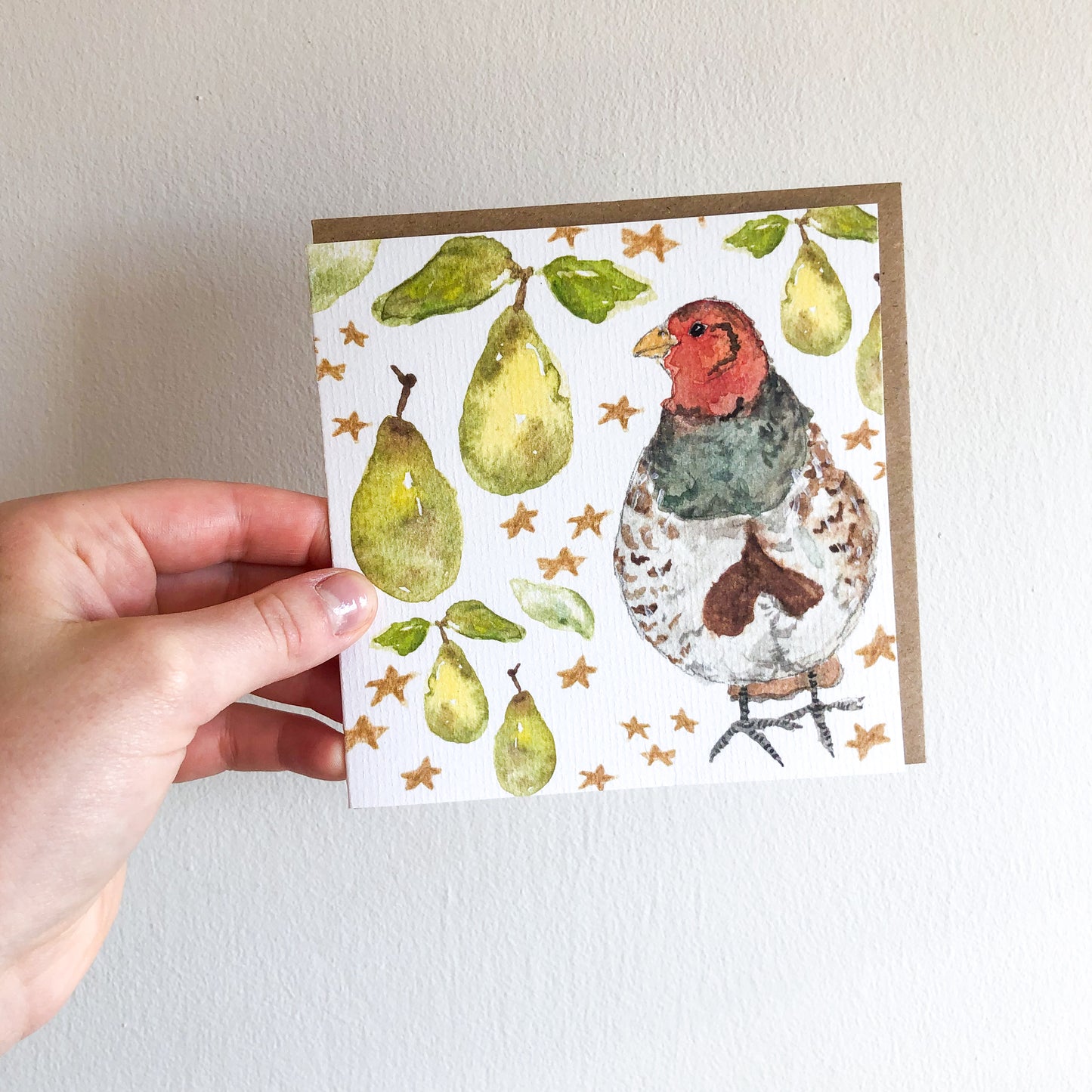 Seasonal Birds Christmas Card Pack
