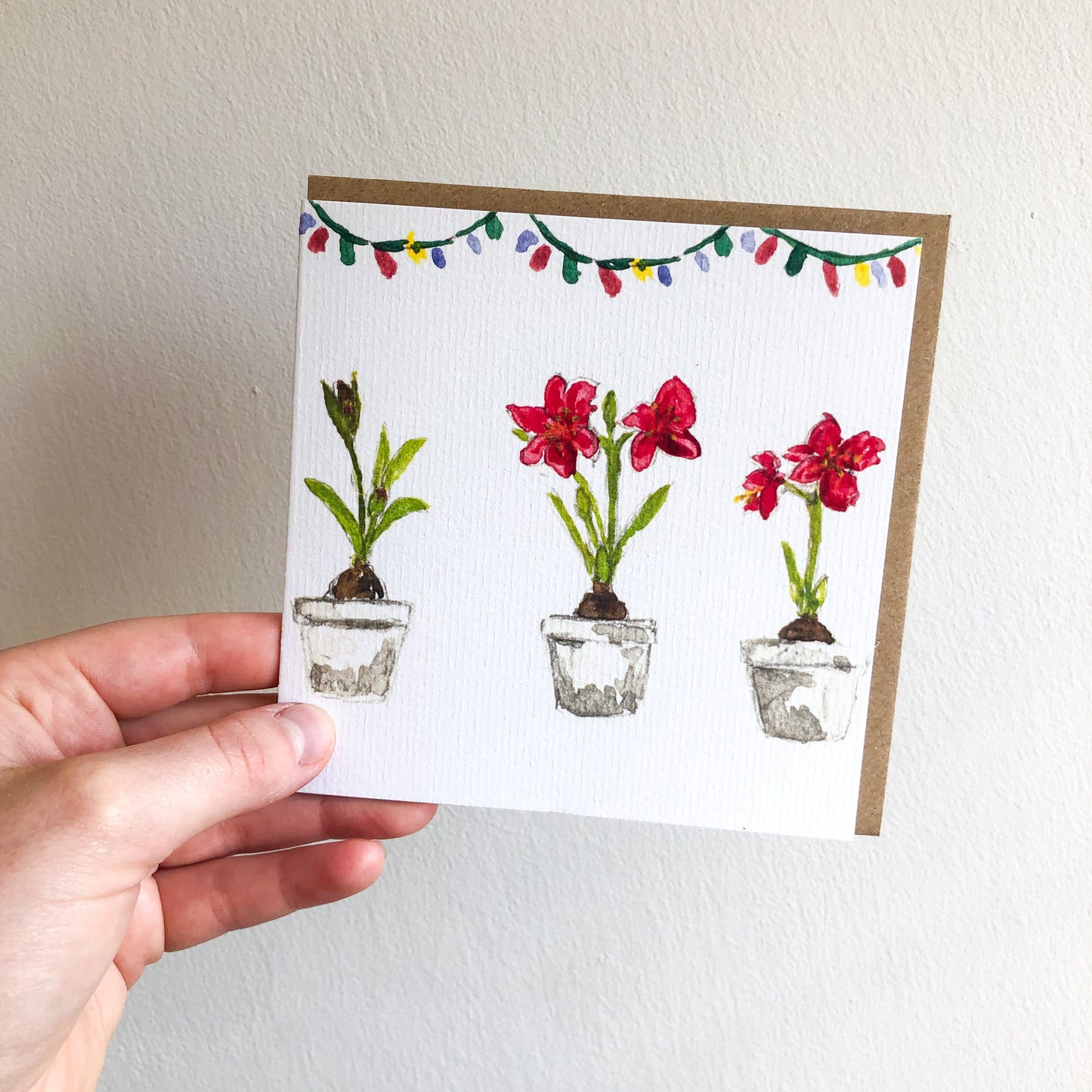 Seasonal Plants Christmas Card Pack