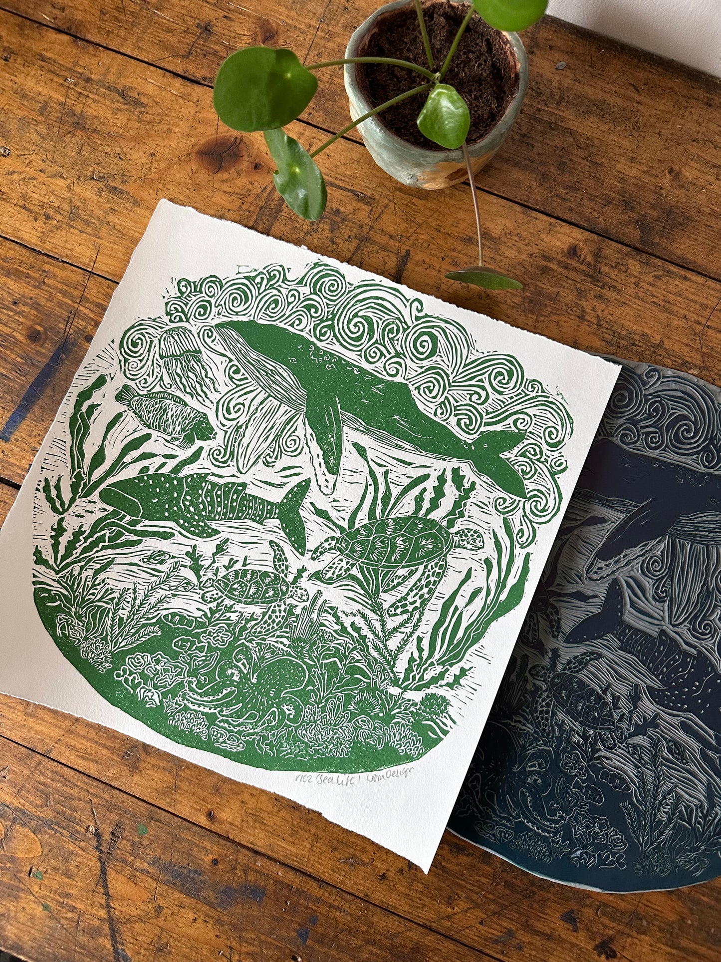 Original Linocut ‘Sea Life’ print.