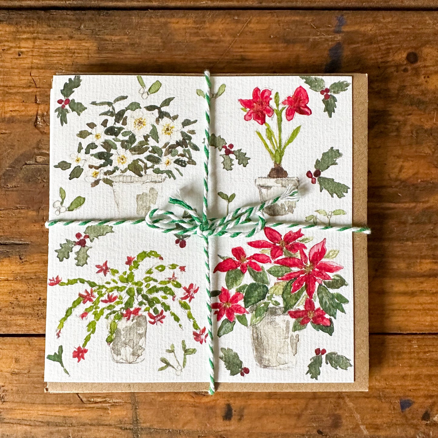Seasonal Plants Christmas Card Pack