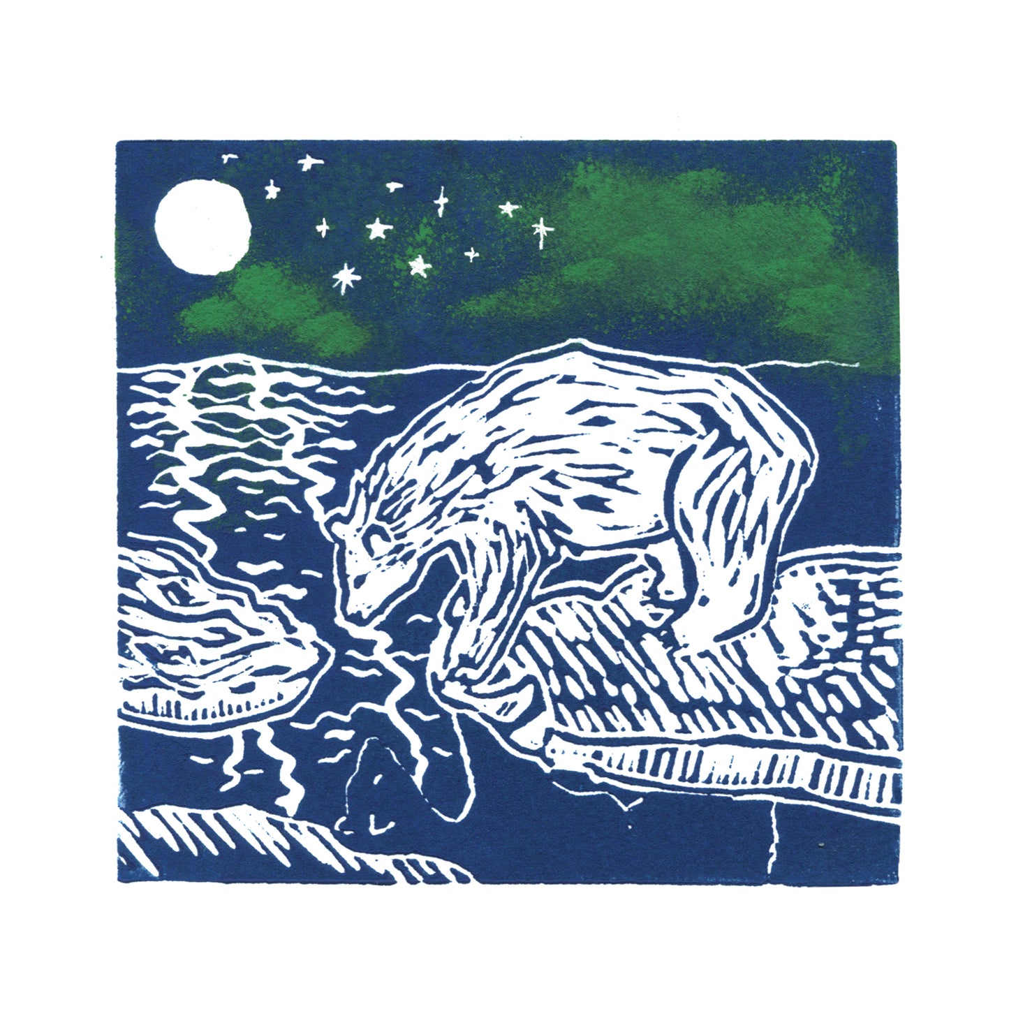 Polar Bear Reflecting Card
