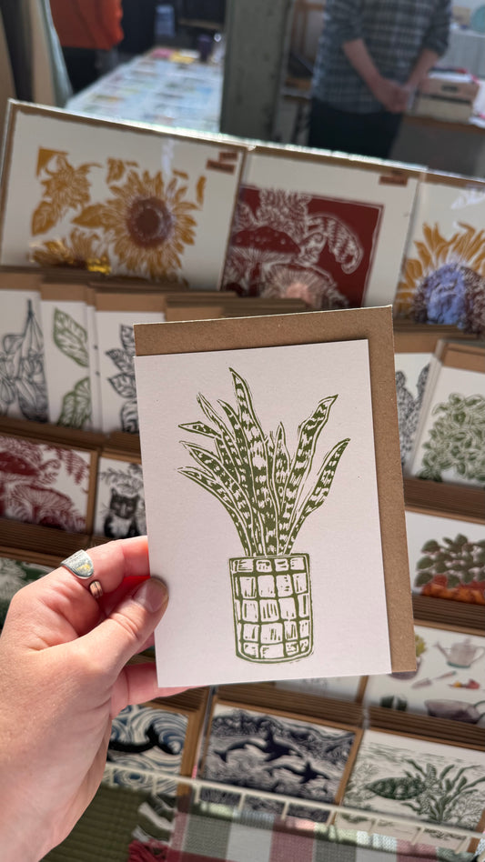 Sansevieria House Plant Card