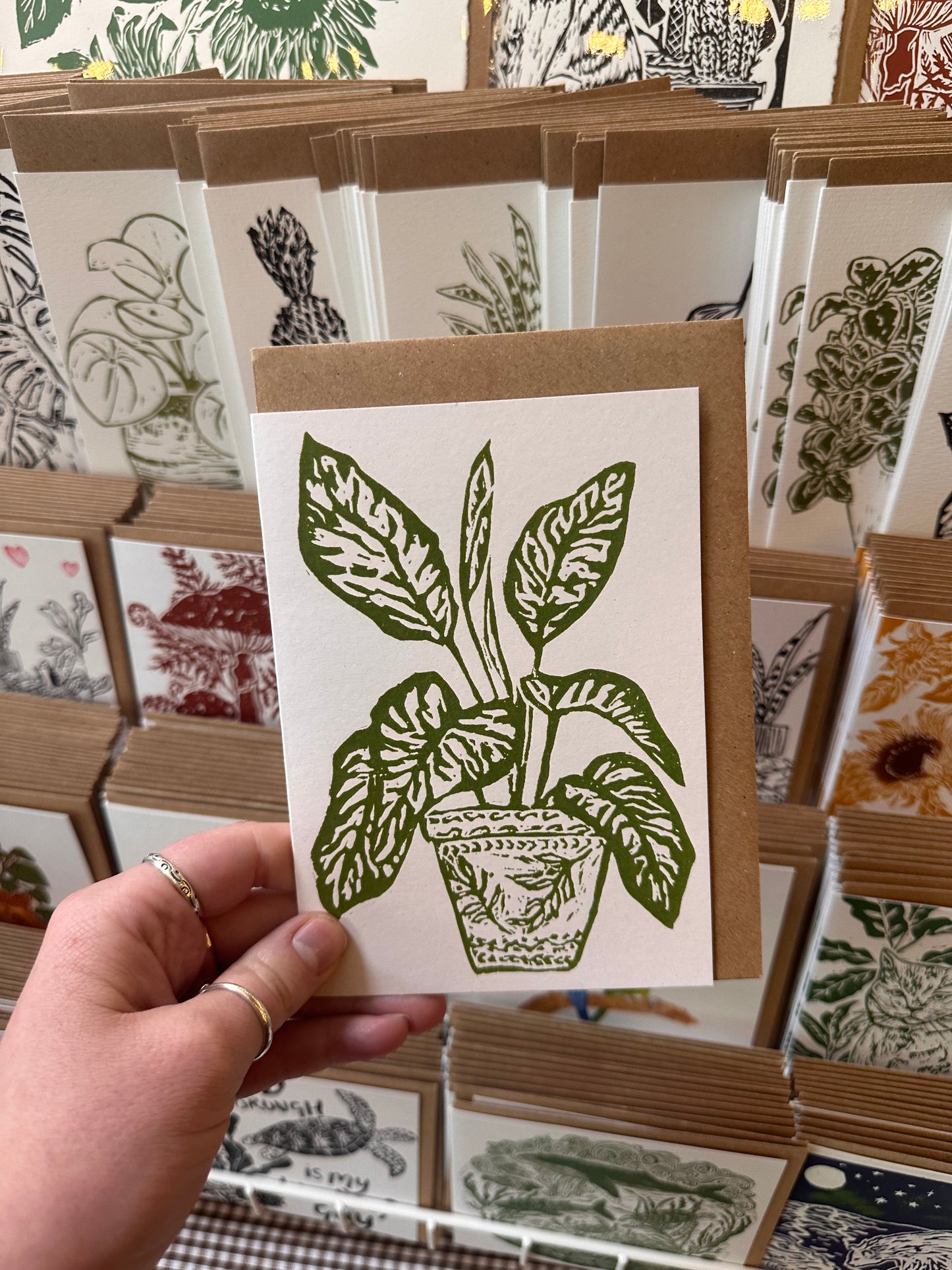 Dieffenbachia Amoena House Plant Card