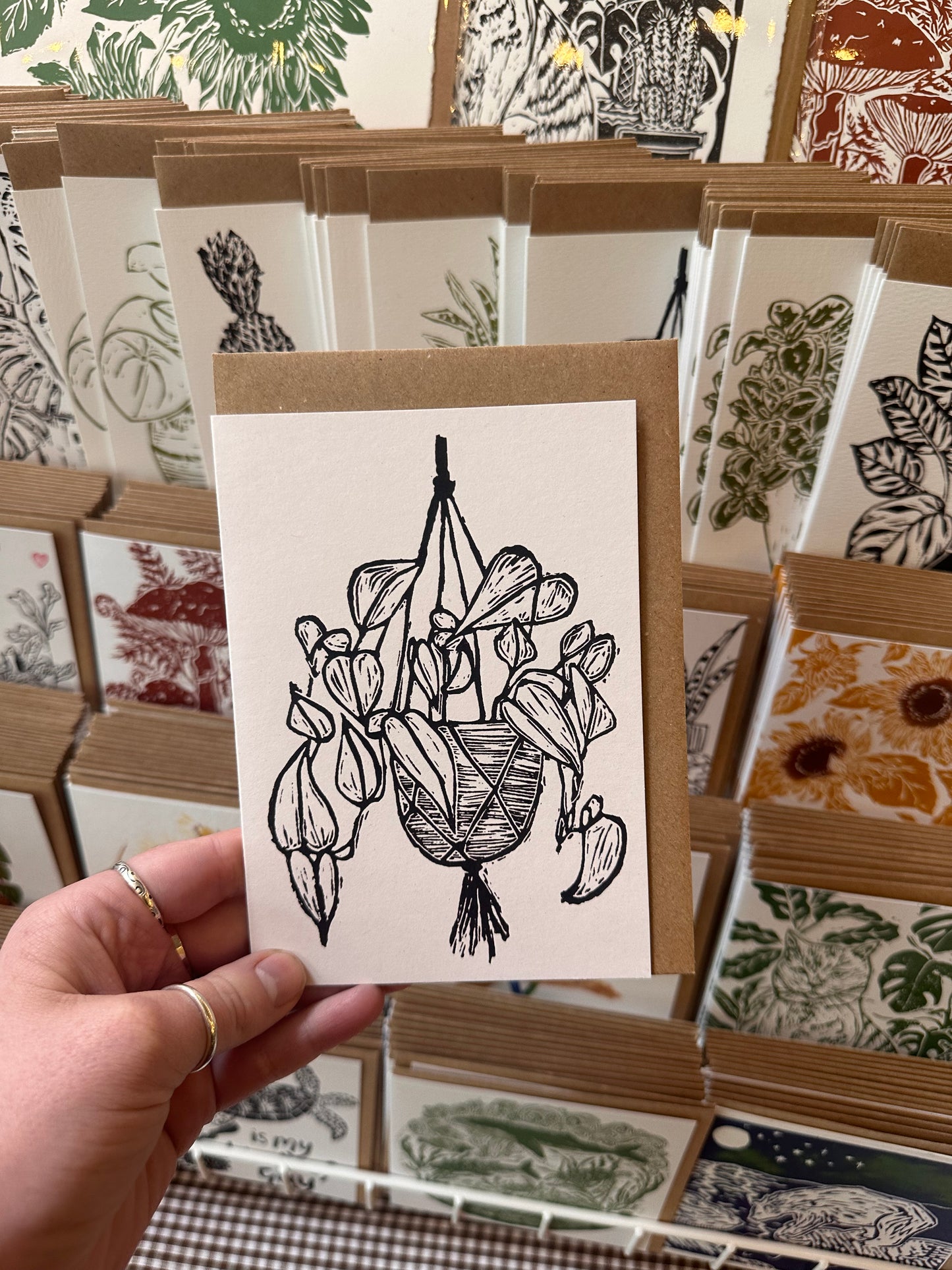 Philodendron Scandens House Plant Card