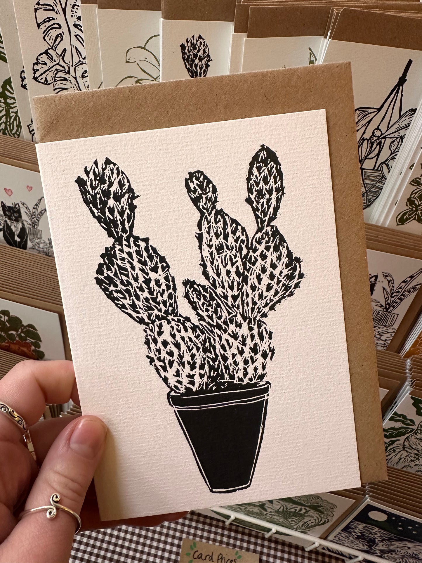 Opuntia Microdasy House Plant Card