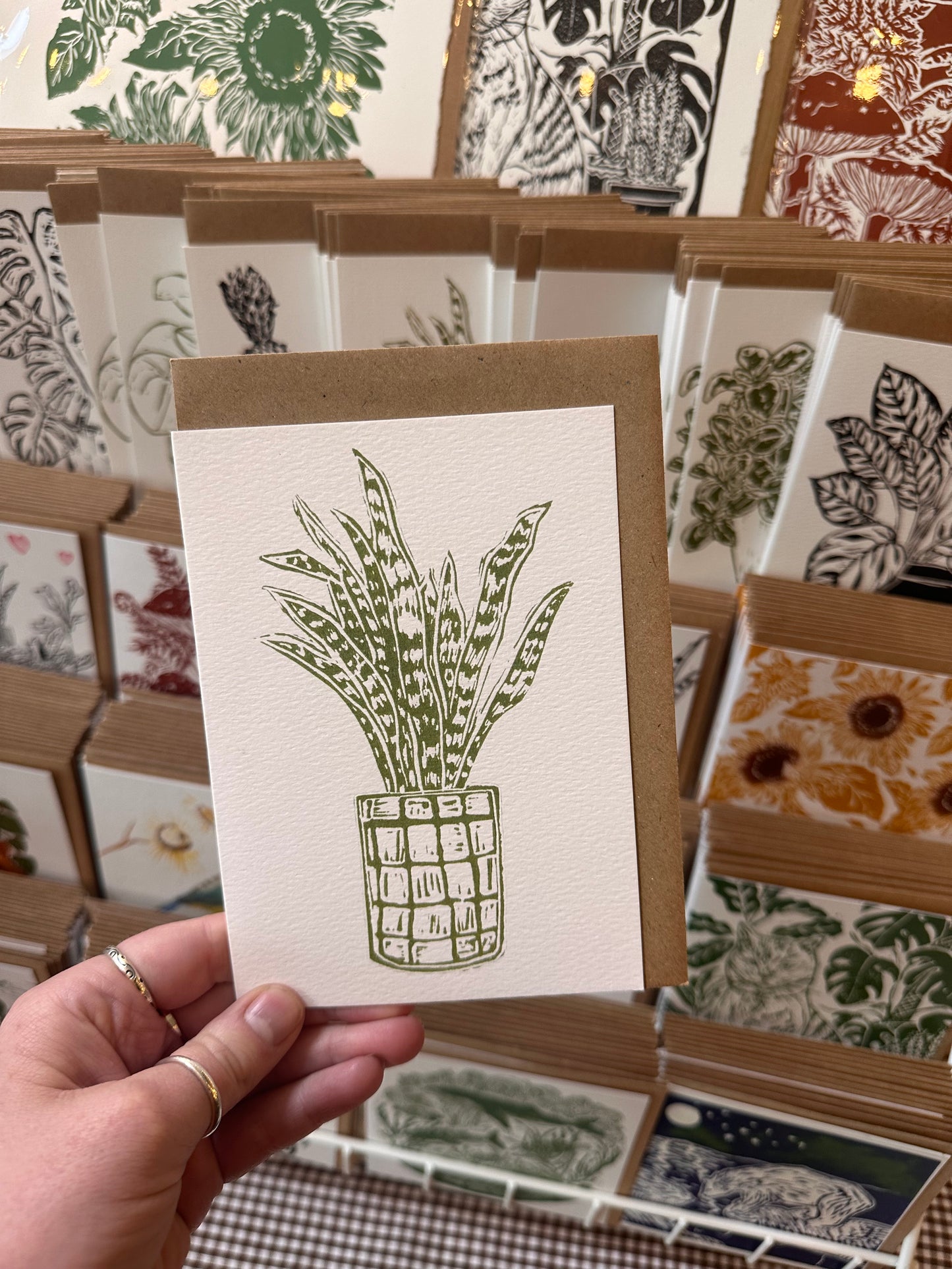 Sansevieria House Plant Card