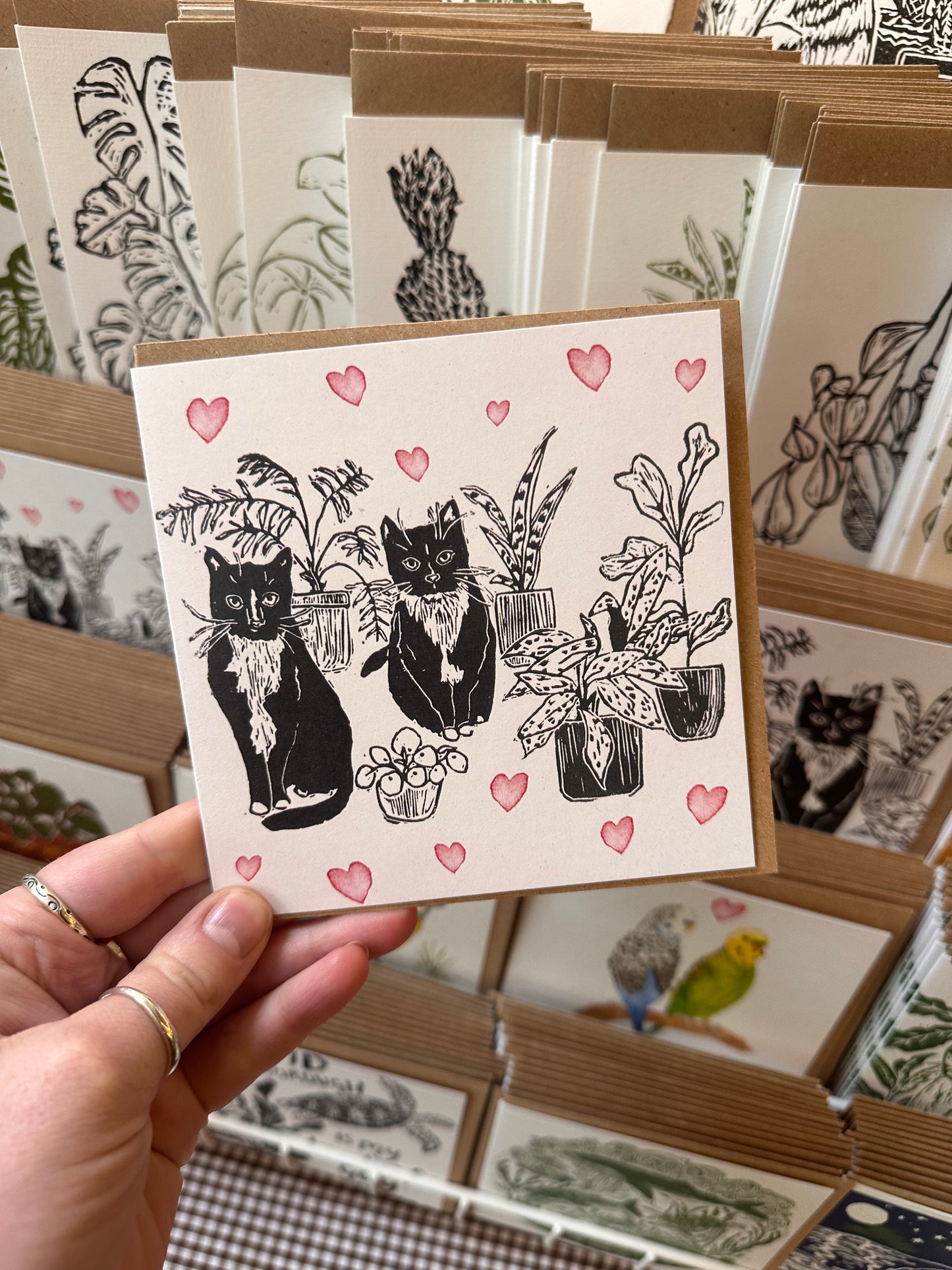 Love Cats Card