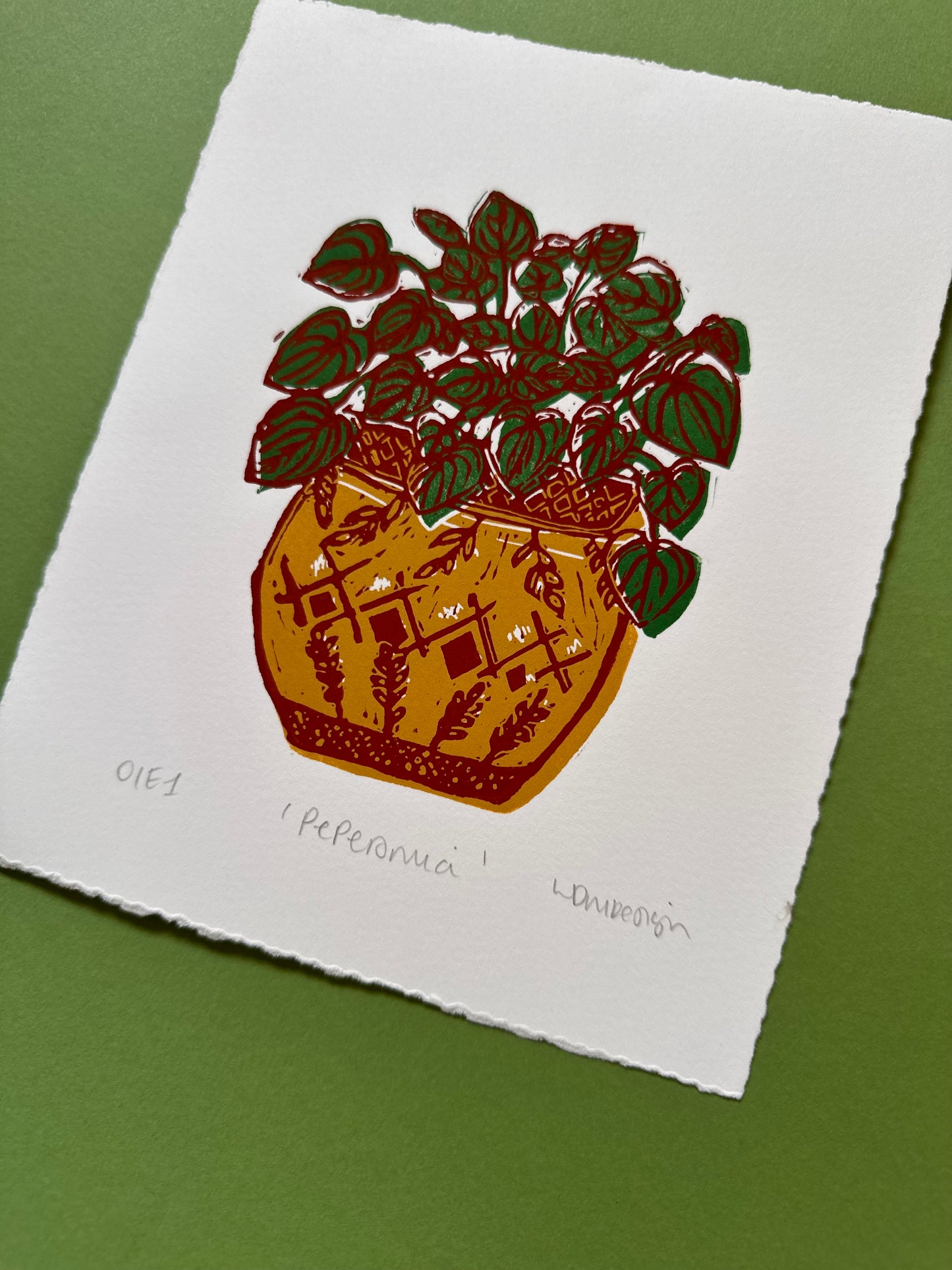 Original Linocut print ‘peperomia’ House plant