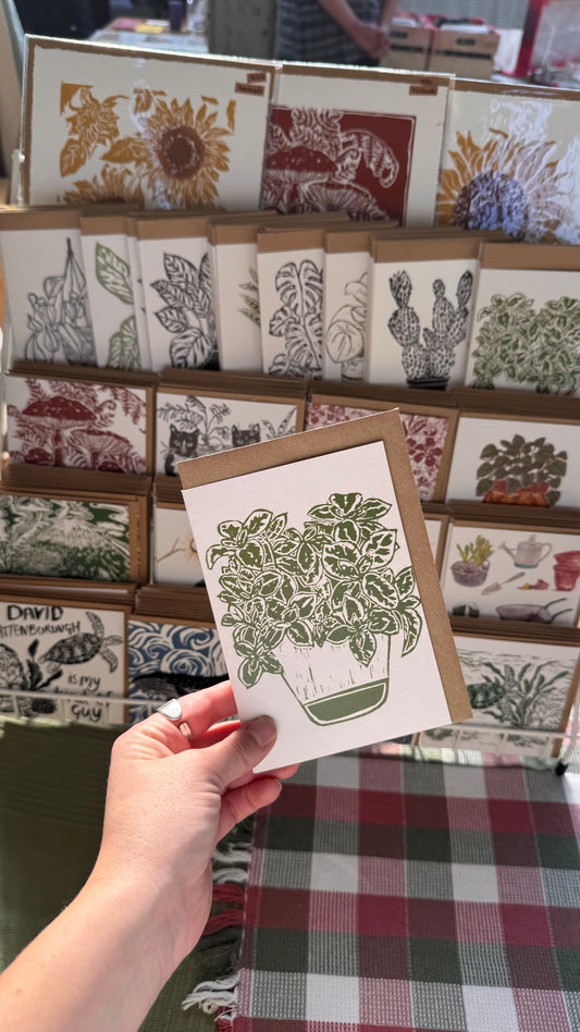 Hypoestes Sanguinolenta House Plant Card
