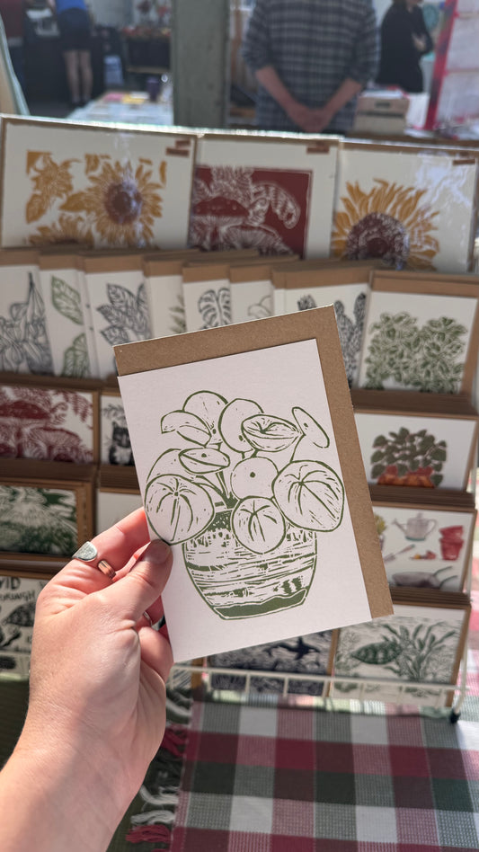 Pilea Peperomioides House Plant Card