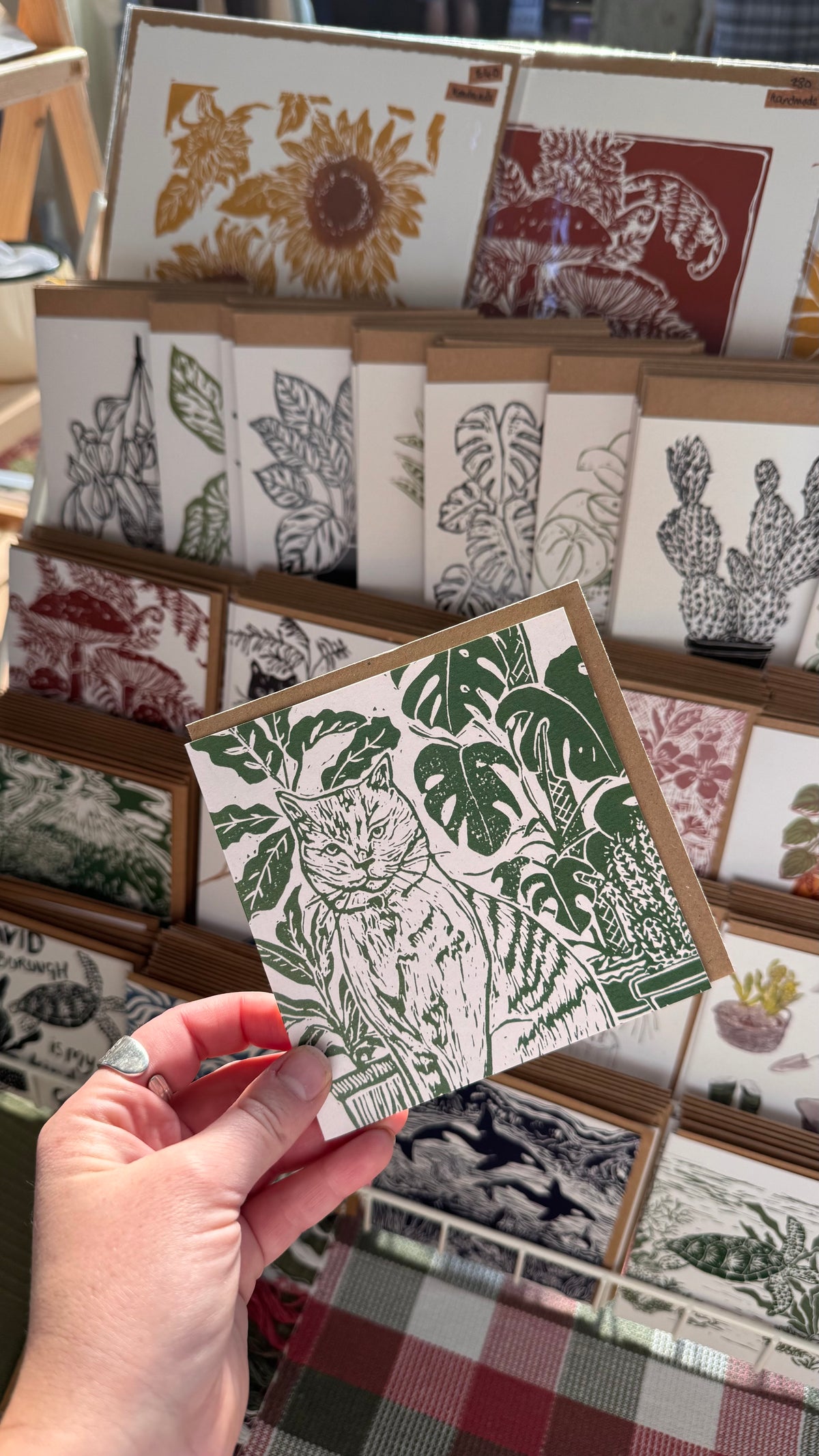 Monty amongst plants Card