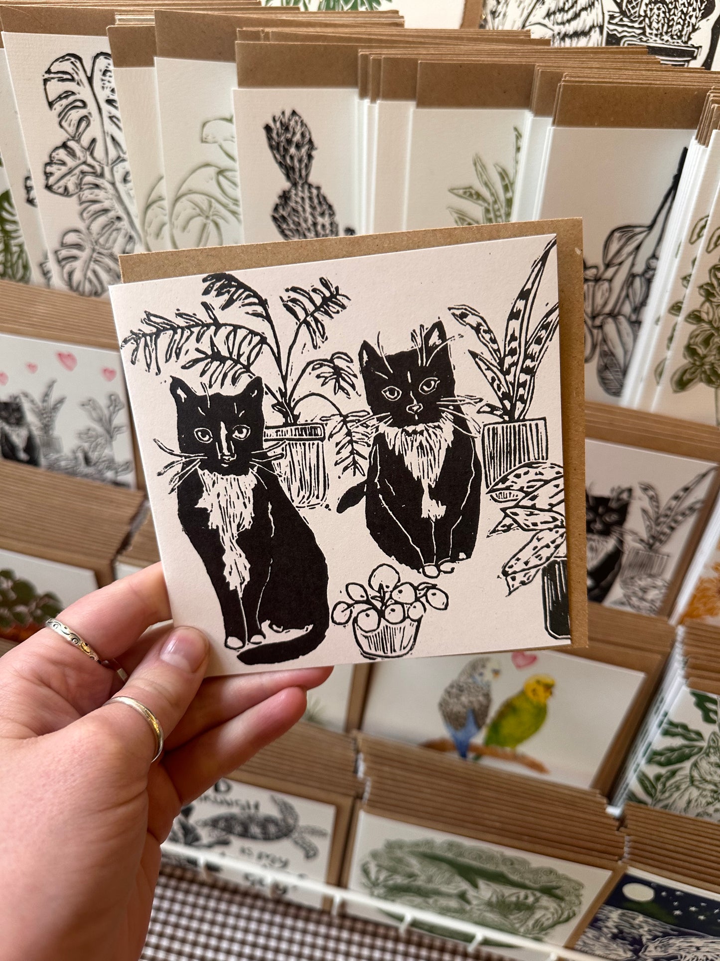 Cats & Plants Card