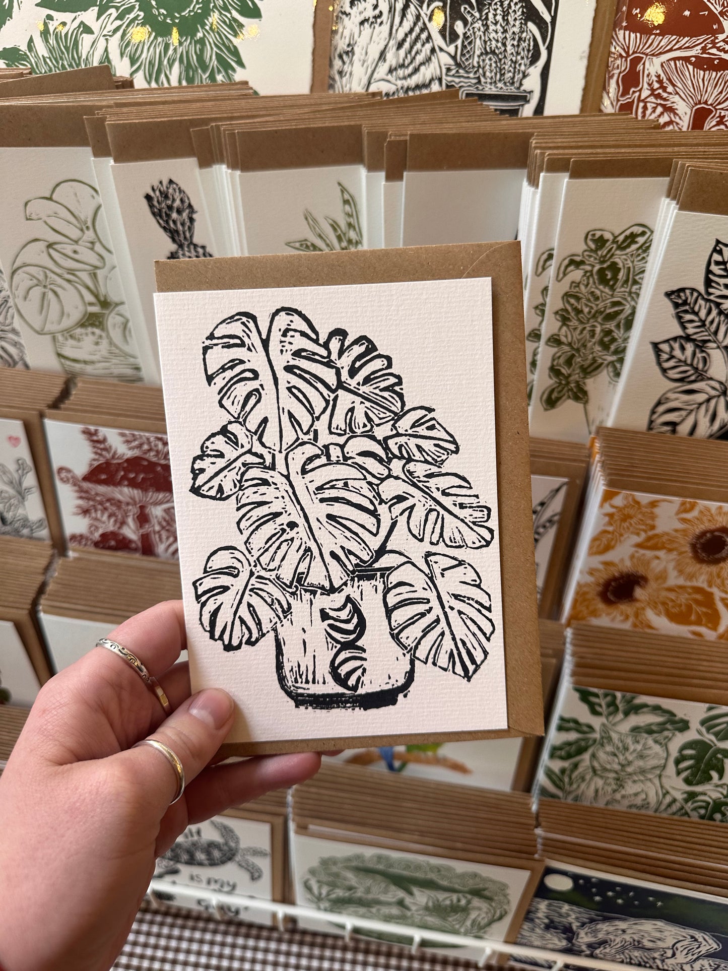 Monstera Deliciosa House Plant Card