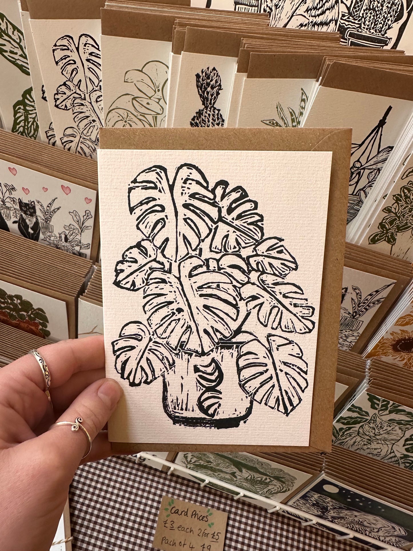 Monstera Deliciosa House Plant Card