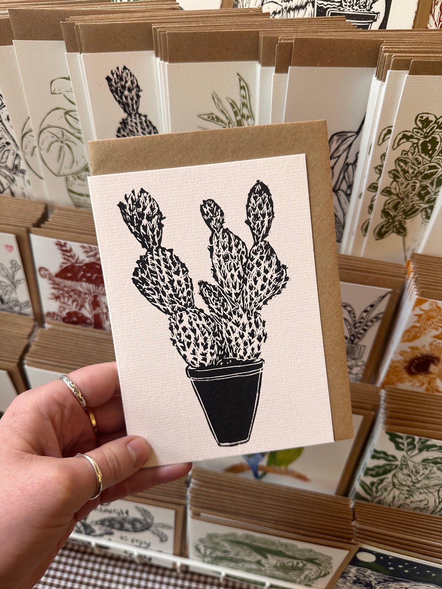 Opuntia Microdasy House Plant Card