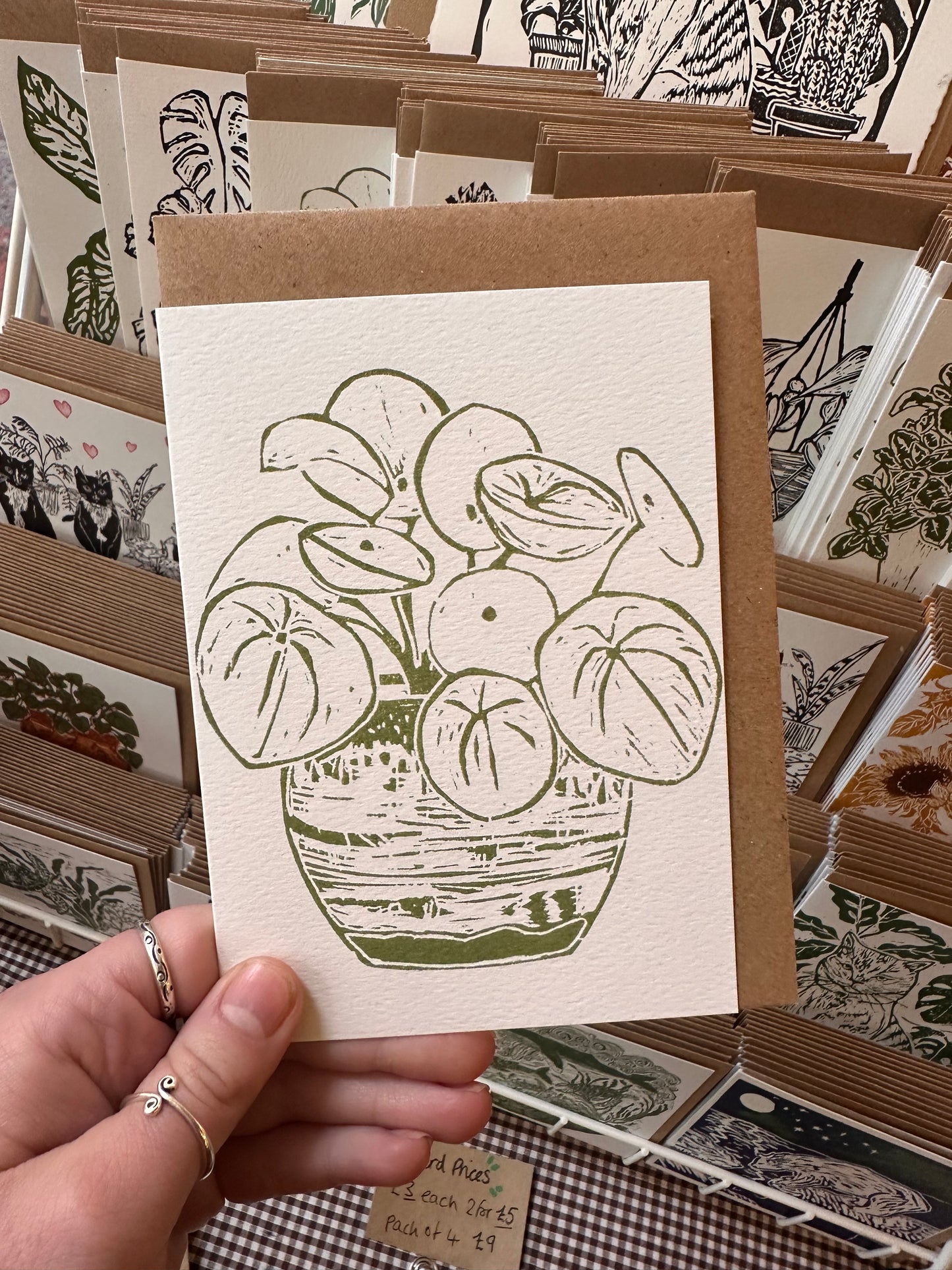 Pilea Peperomioides House Plant Card