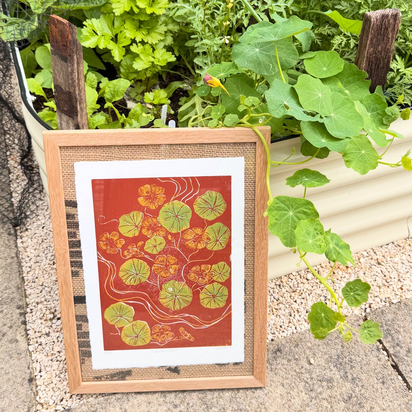Original Linocut ‘Nasturtium' Print.