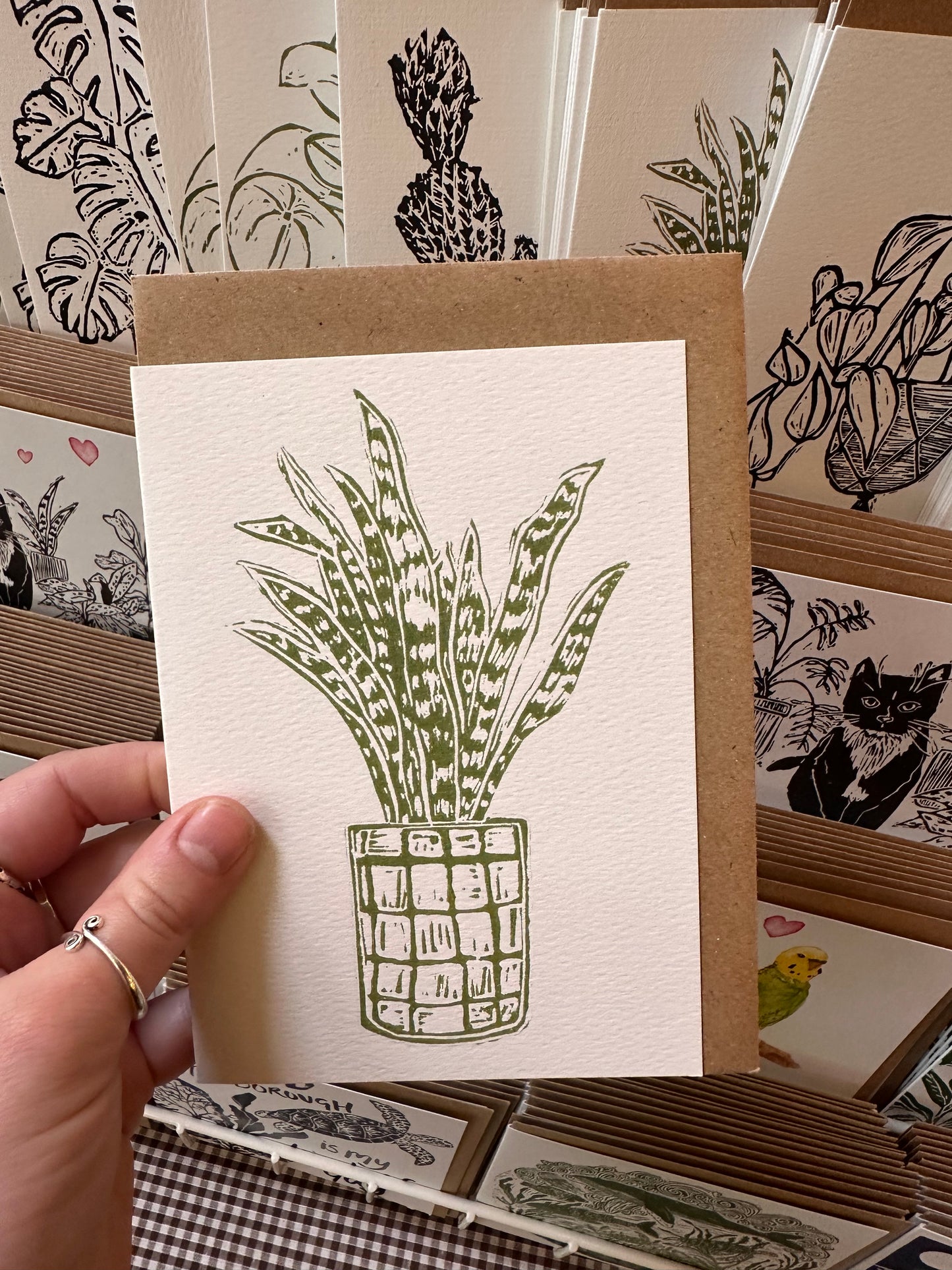 Sansevieria House Plant Card