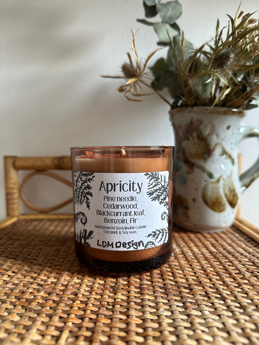 Apricity Sustainable Candle