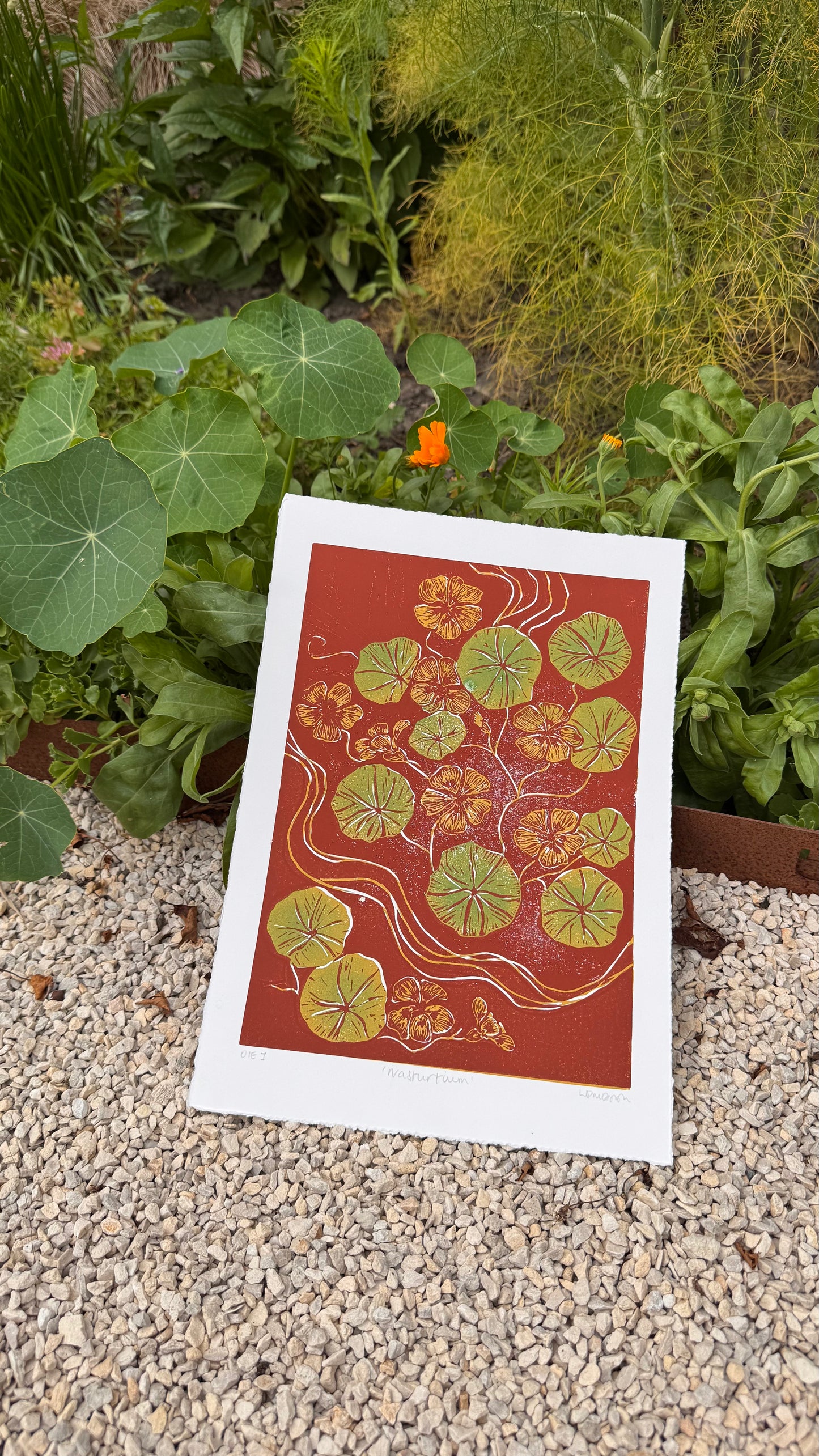 Original Linocut ‘Nasturtium' Print.