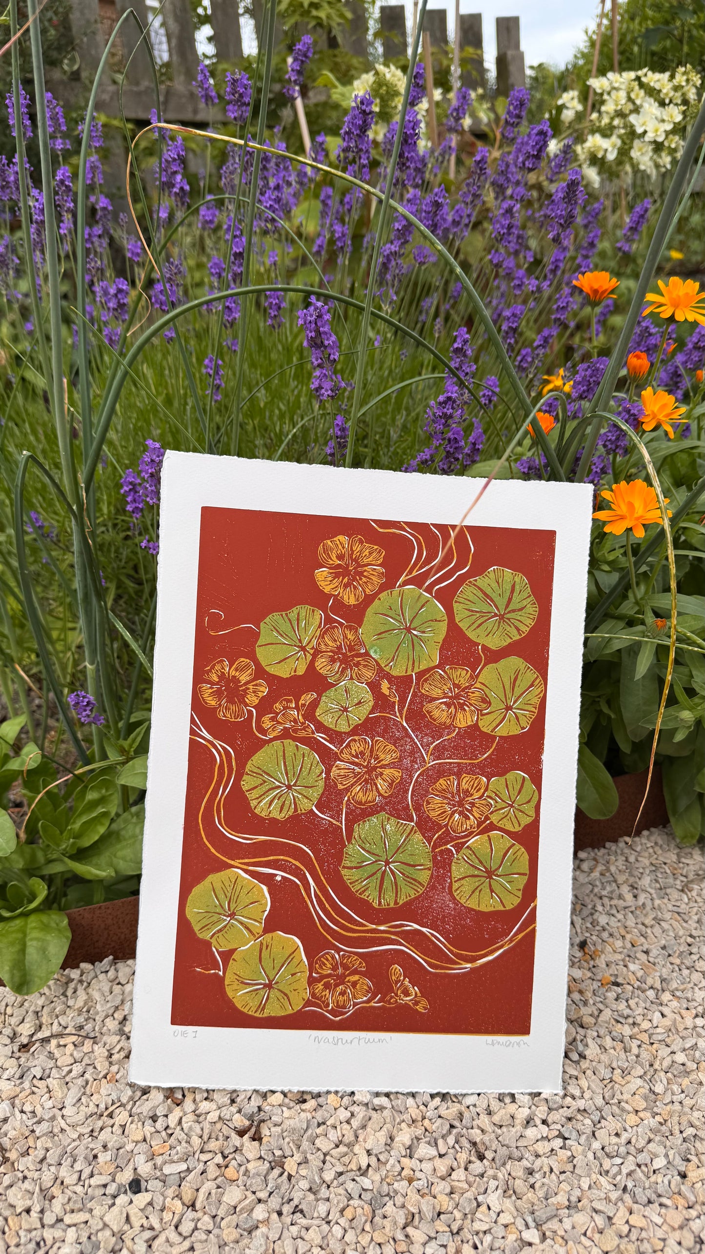 Original Linocut ‘Nasturtium' Print.