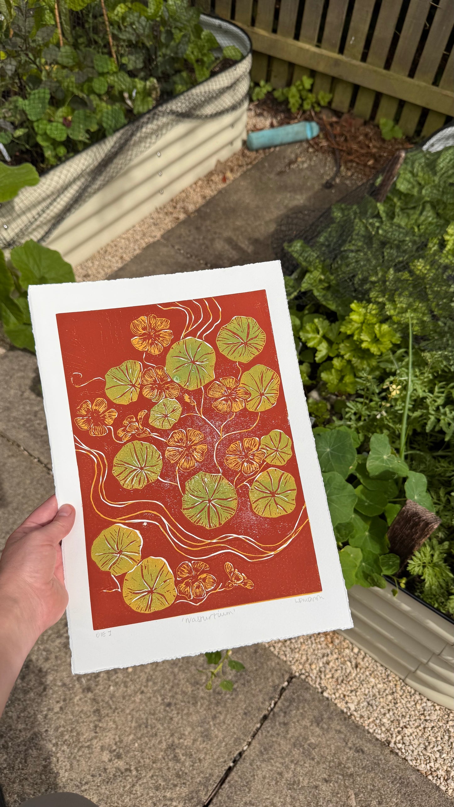 Original Linocut ‘Nasturtium' Print.